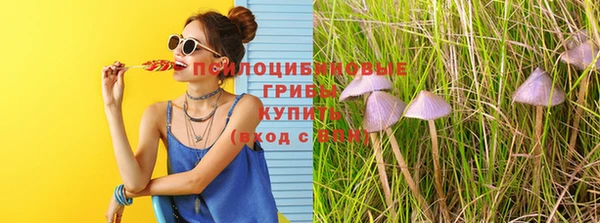 каннабис Надым