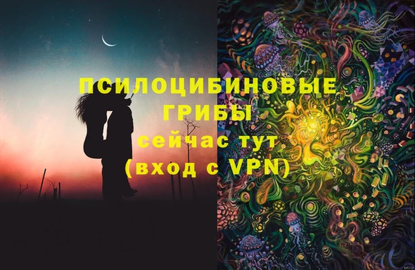 трава Беслан